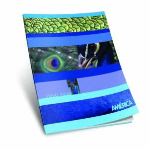 Cuad. america Rayado t/f x 48 hj.