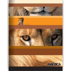 Cuad. america Cuadriculado t/f x 48 hj.