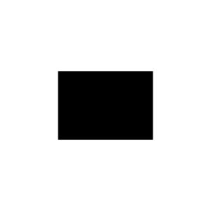 Cartulina Capitolio Negra c/u