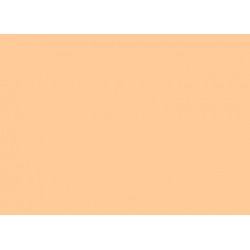 Cartulina Capitolio Beige c/u