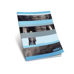 Cuad. america Rayado x 24 hj.