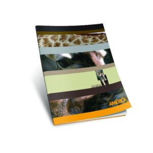 Cuad. america Cuadriculado x 24 hj.