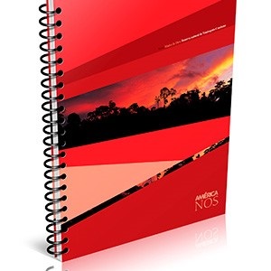 Cuad. america rayado 29'7 x 80 hj.